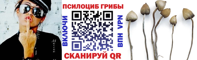 ОМГ ОМГ зеркало  Лагань  Псилоцибиновые грибы мицелий 